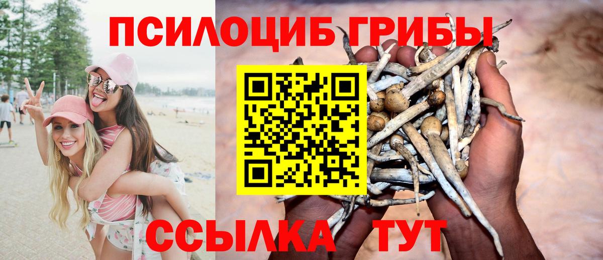 Псилоцибиновые грибы ЛСД  Вход с VPN  Псилоцибиновые грибы Psilocybine cubensis  Рубцовск 